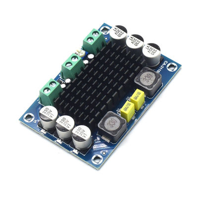 CA-3116D 원본 100W 모노 오디오 증폭기 보드 TPA3116D2 칩과 12-24V 입력
