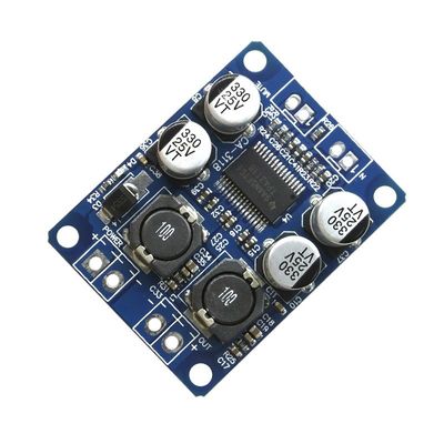 CA-3118 DC12-24V 증폭기 오디오 모듈TPA3118 1*60W AMP