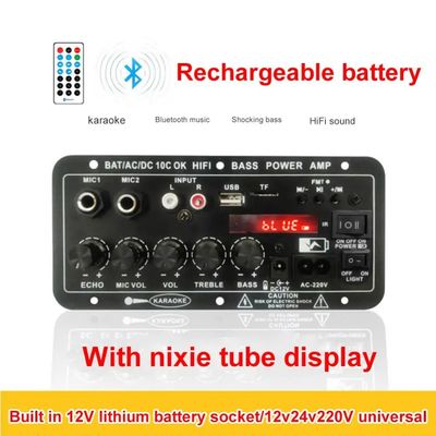 24V/220V 차량용 앰프 모노 오디오 앰프, 서브우퍼 및 가라오케용 120W 전원 듀얼 마이크 및 블루투스 포함