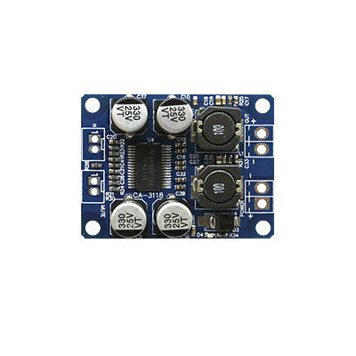CA-3118 DC12-24V 증폭기 오디오 모듈TPA3118 1*60W AMP