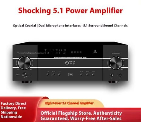 5.1채널 4200W 고출력 프로 오디오 앰프 (피드백 방지, BT 무선, 가정용 노래방 무대 공연 KTV 회의용)