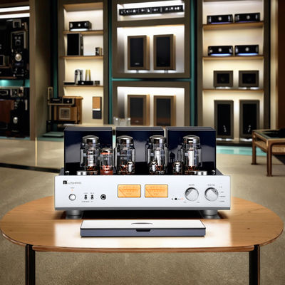 A 레벨 25W+25W 홈 HIFI 튜브 오디오 증폭기 고전력 출력 통합 헤드폰 수신기 스피커 클래스 증폭기