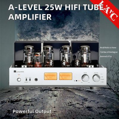 A 레벨 25W+25W 홈 HIFI 튜브 오디오 증폭기 고전력 출력 통합 헤드폰 수신기 스피커 클래스 증폭기