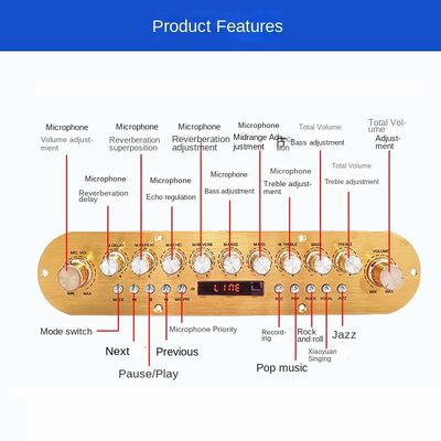 D1600 Portable Speaker Power Amplifier Board Square Dance Outdoor Karaoke Trolley Case for 12V Battery 220VDSP Sound